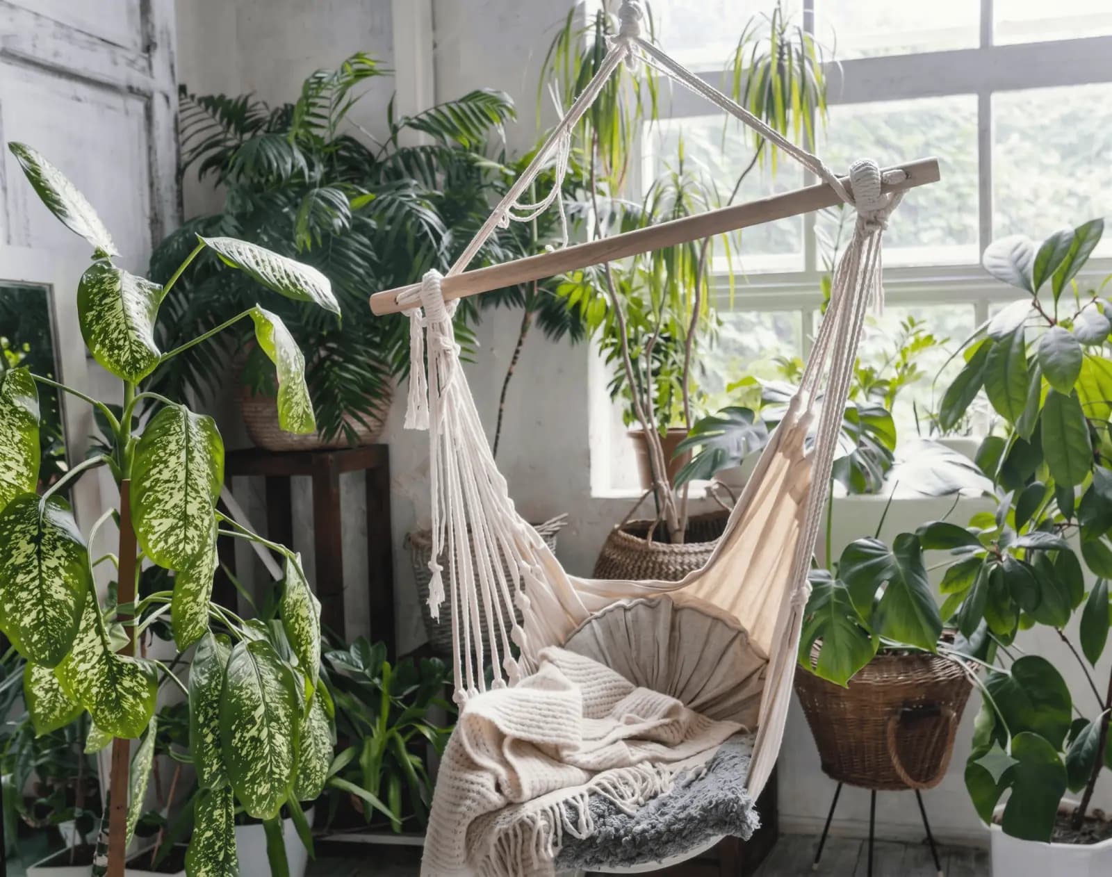 Vivero SomosTierra — plantas de interior y exterior