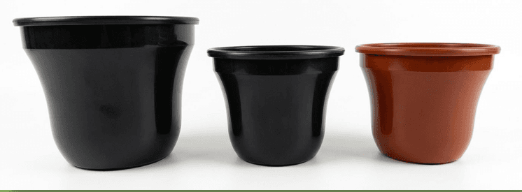 Matera Campana Decorativa Con Plato