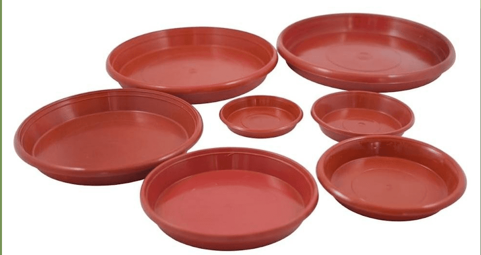 Platos para Materas