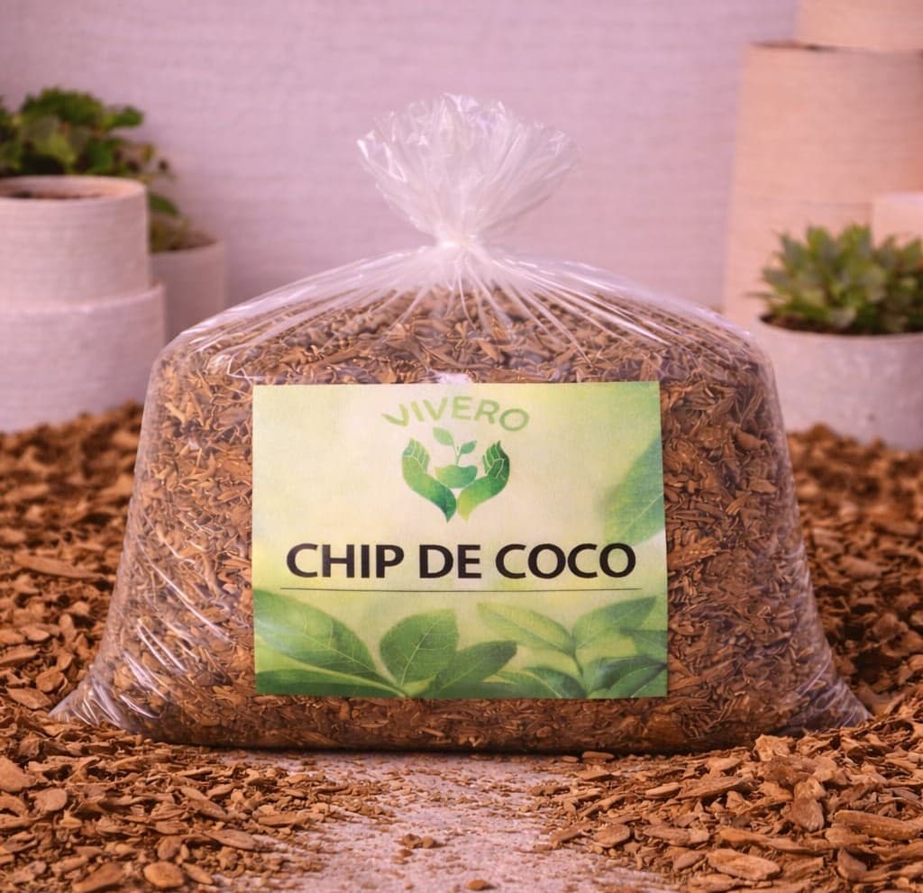 Chip de Coco