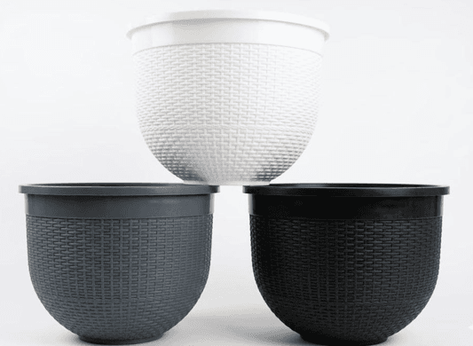 Matera Rattan